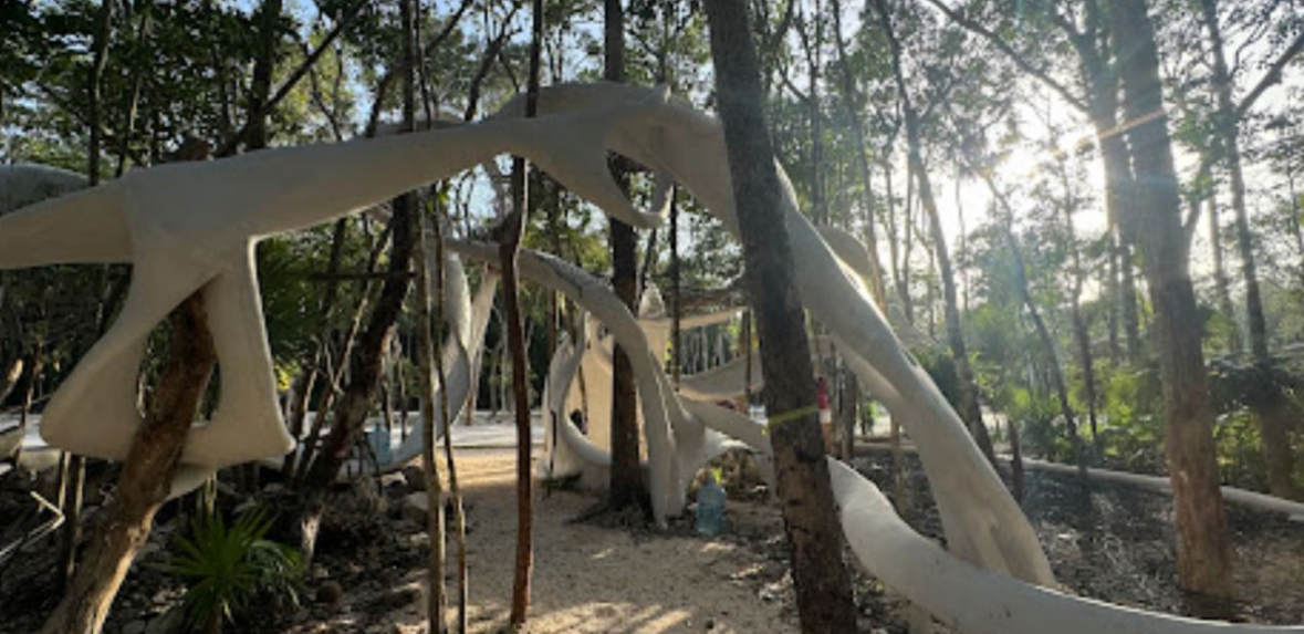 Maya Ocean Real Estate