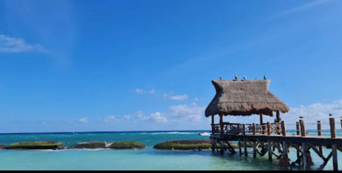 Maya Ocean Real Estate