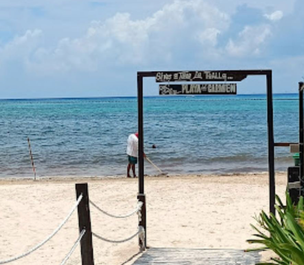 Maya Ocean Real Estate