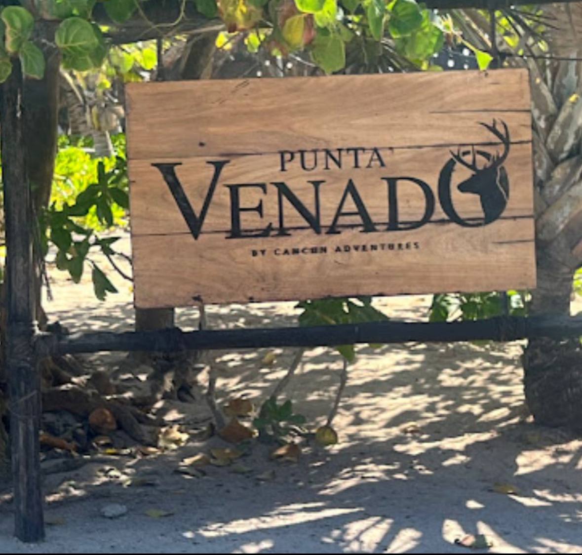 Maya Ocean Real Estate