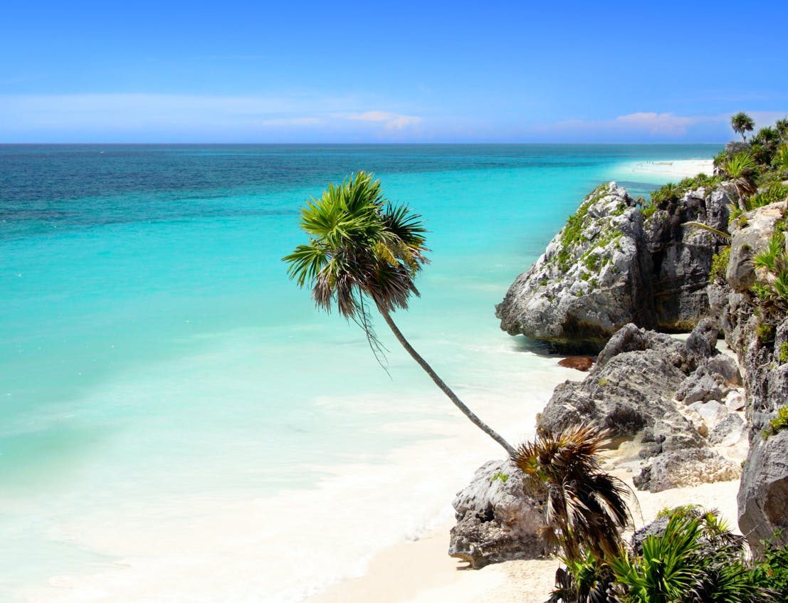 Maya Ocean Real Estate