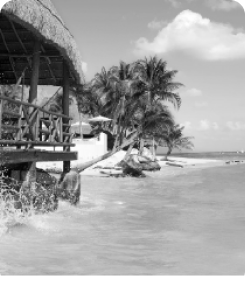 Maya Ocean Real Estate