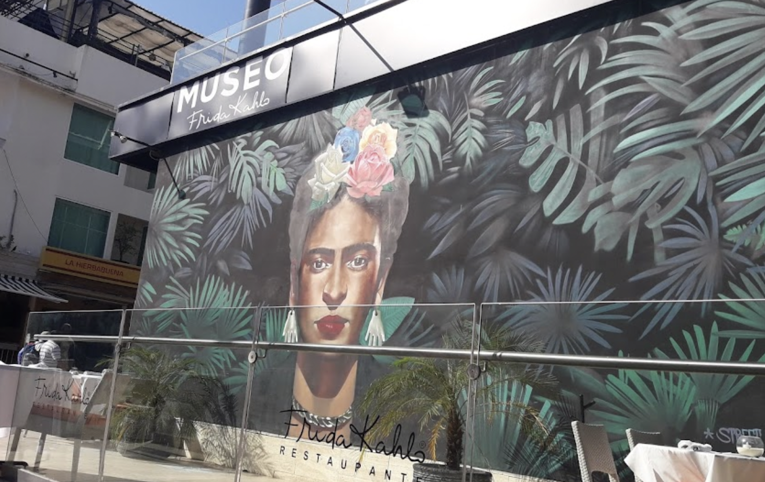 Maya Ocean Real Estate